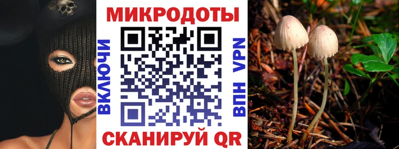 даркнет как зайти  Серов  Галлюциногенные грибы Cubensis  где купить наркотик 